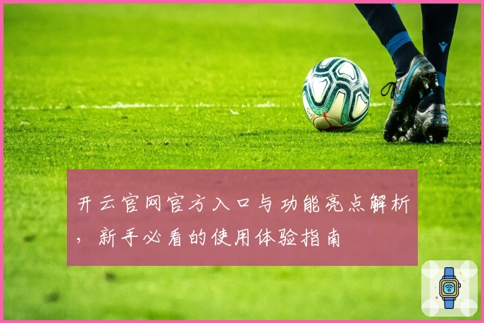开云官网官方入口与功能亮点解析，新手必看的使用体验指南